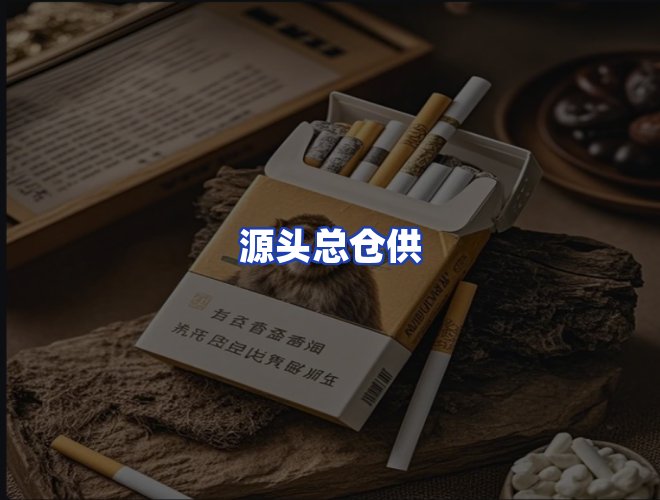 专业团队